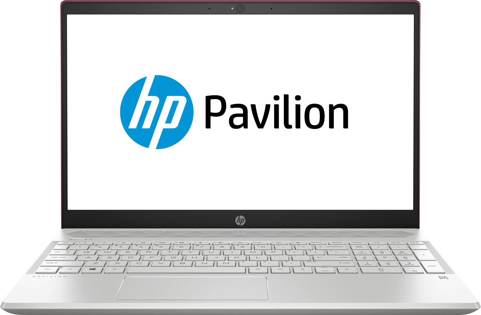 HP Pavilion 15-cs0206ng met 256GB M.2 SSD en Quadcore i5 en 8GB geheugen | Windows 11